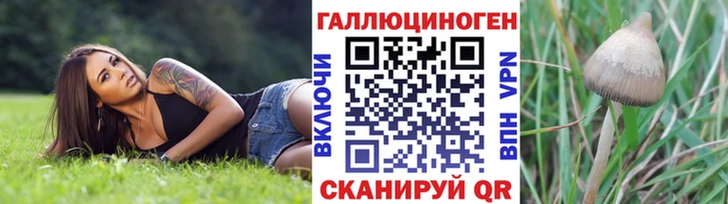 Псилоцибиновые грибы MAGIC MUSHROOMS Ленинградская